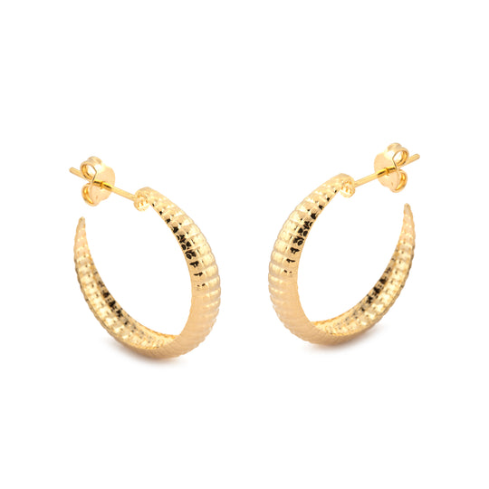 Hoop Earrings