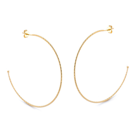 Hoop Earrings