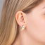 Elegant Earrings